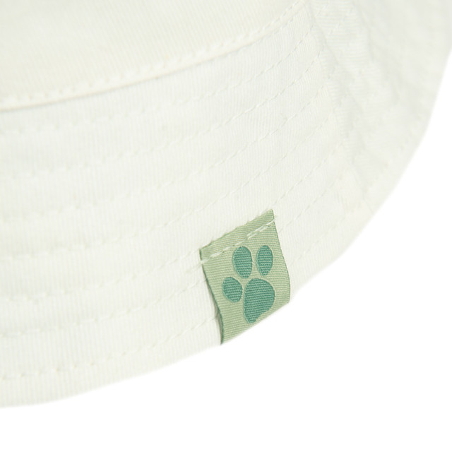 Шапка PAW PATROL, цвят: Светло зелен