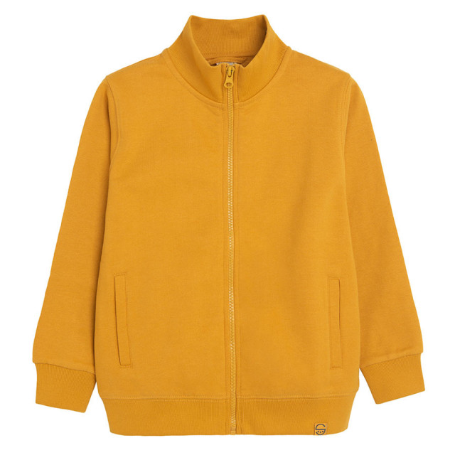 Блуза с дълъг ръкав, цвят: Жълт