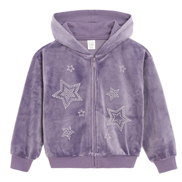 Суитчър, цвят: Виолетов