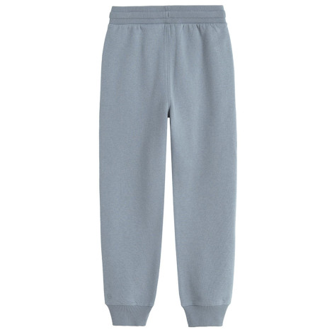 Спортен панталон, цвят: Сив