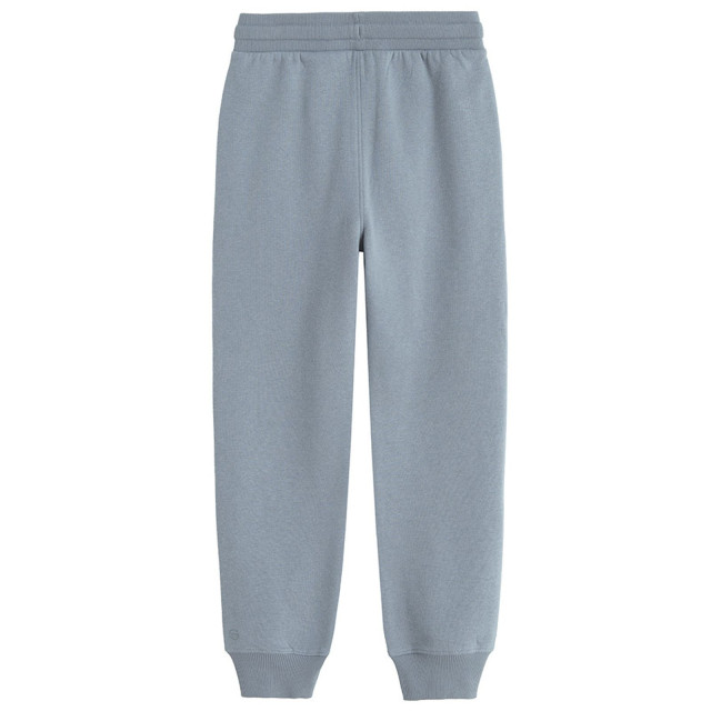 Спортен панталон, цвят: Сив