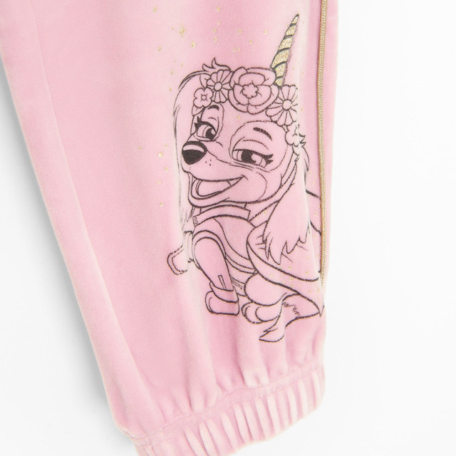 Спортен панталон PAW PATROL, цвят: Виолетов