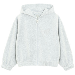 Суитчър, цвят: Сив