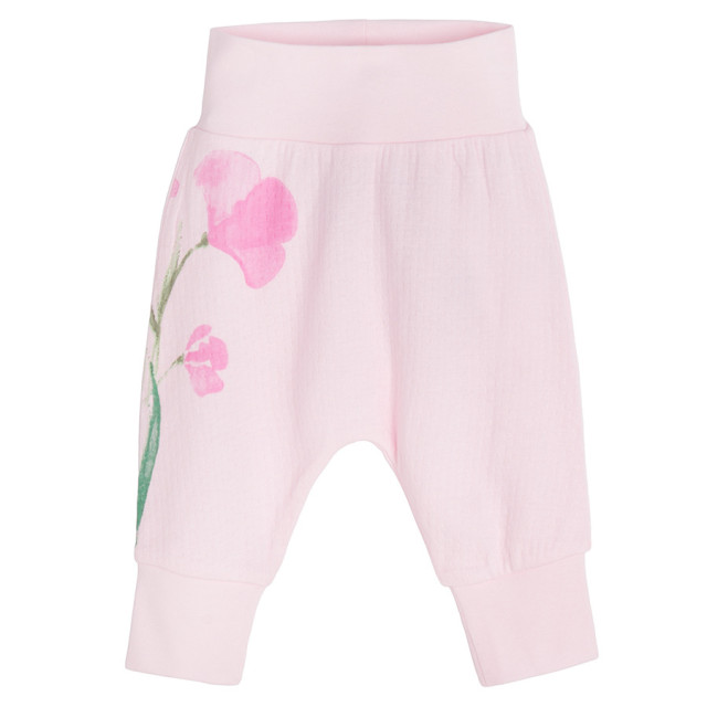 Ританки 2бр., цвят: Микс