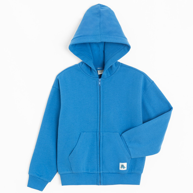 Суитчър, цвят: Син