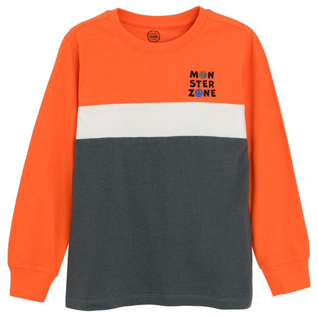 Блуза с дълъг ръкав, цвят: Микс