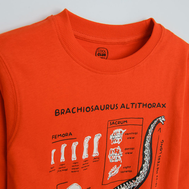 Тениска с дълъг ръкав, цвят: Червен