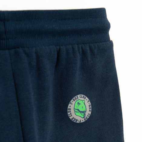 Спортен панталон, цвят: Син