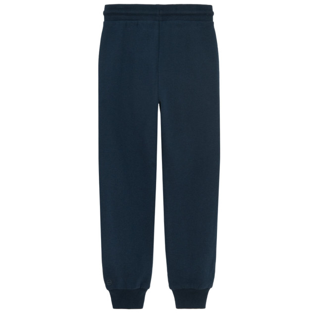 Спортен панталон, цвят: Син