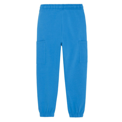 Спортен панталон, цвят: Син