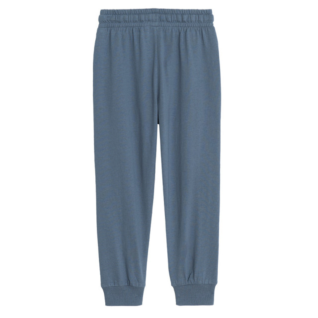 Спортен панталон, цвят: Син