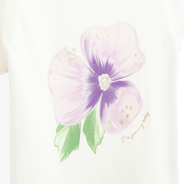 Тениска с къс ръкав 2бр., цвят: Микс