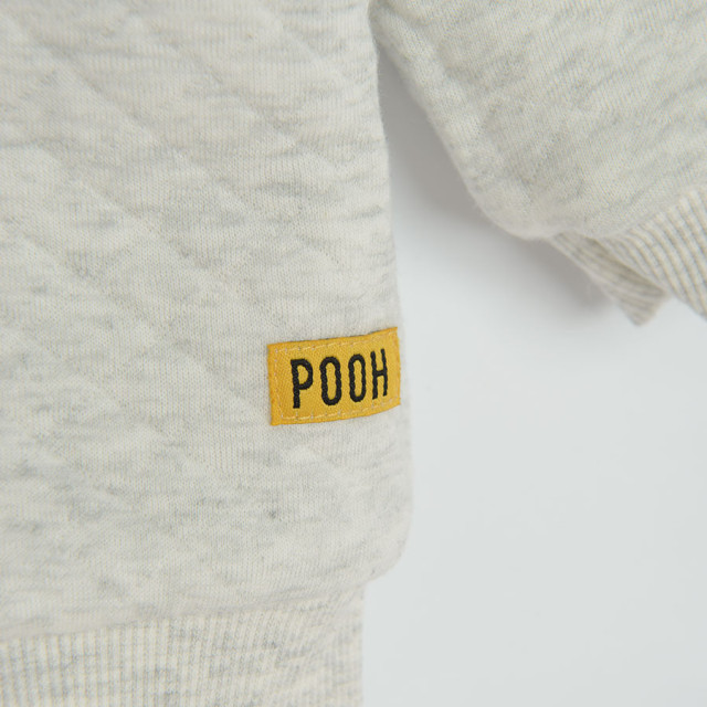 Блуза с дълъг ръкав WINNIE THE POOH, цвят: Сив меланж