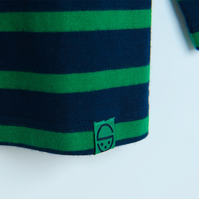 Тениска с дълъг ръкав, цвят: Зелен