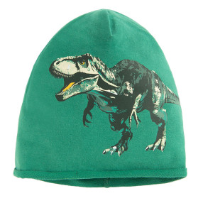 Шапка, цвят: Зелен