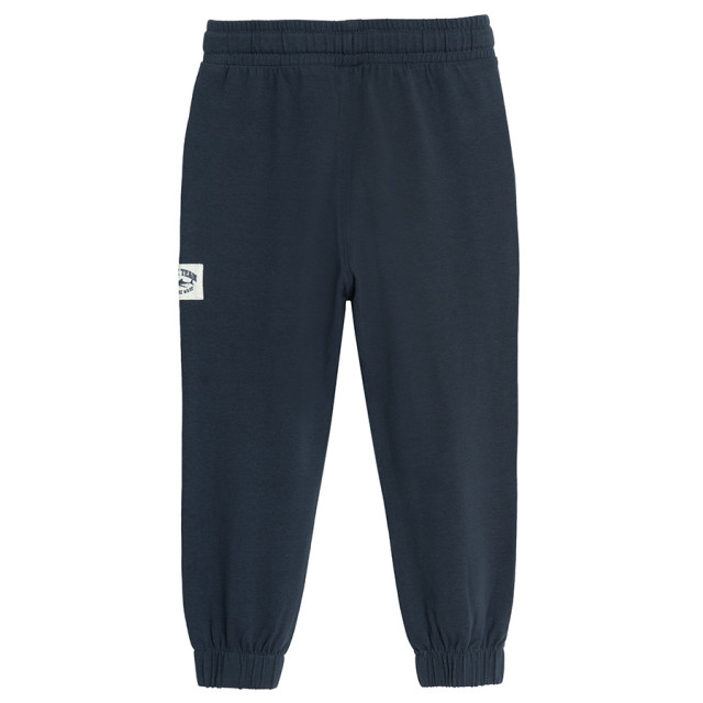 Спортен панталон, цвят: Син