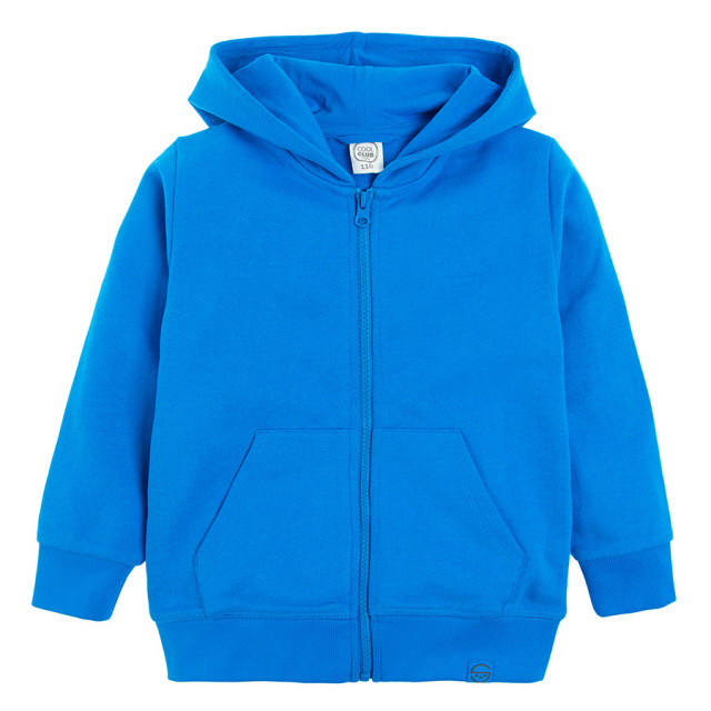 Суитчър, цвят: Син