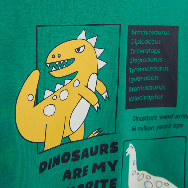 Блуза с дълъг ръкав, цвят: Зелен