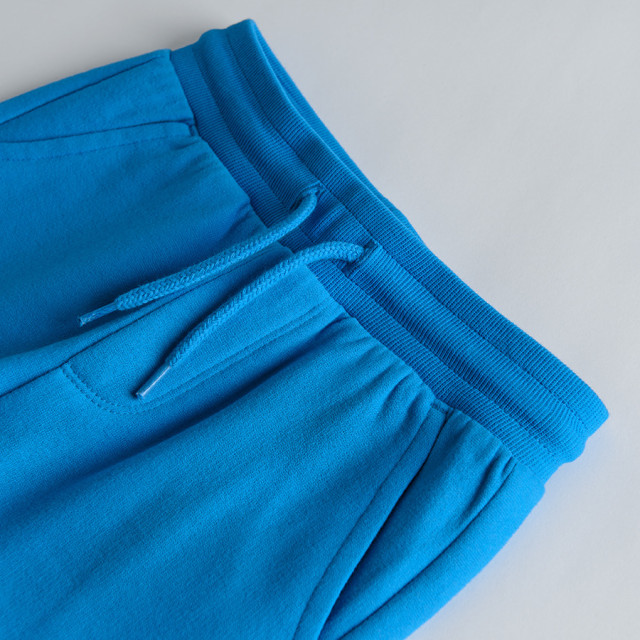 Спортен панталон, цвят: Син