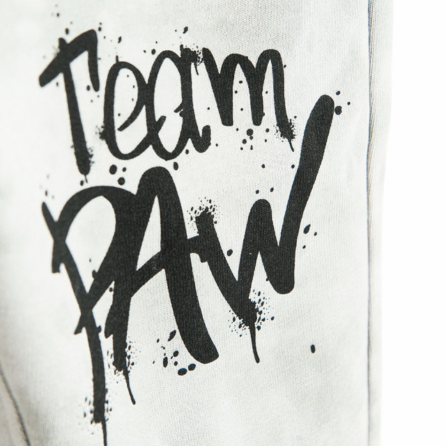 Спортен панталон PAW PATROL, цвят: Сив