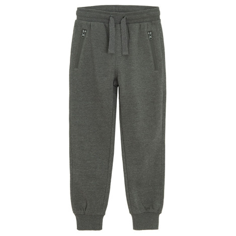 Спортен панталон, цвят: Сив меланж