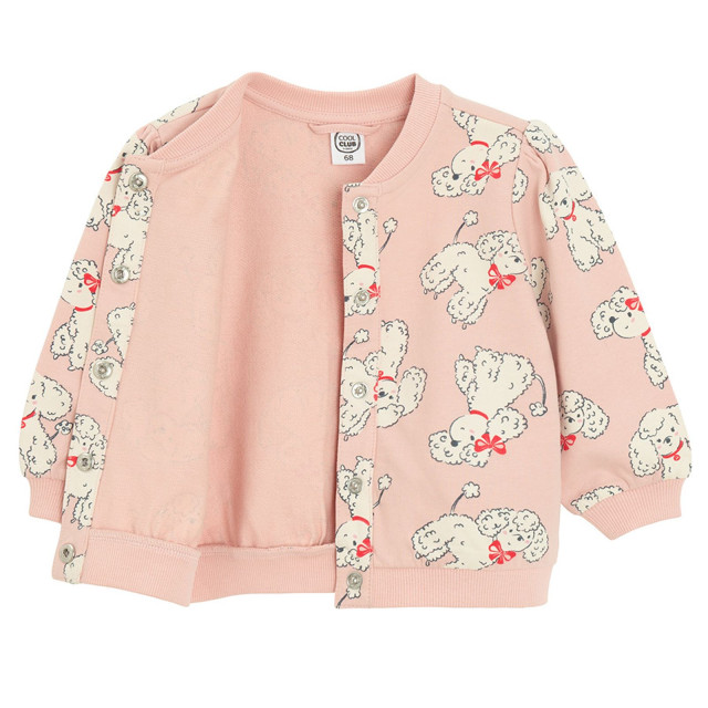 Комплект, цвят: Микс