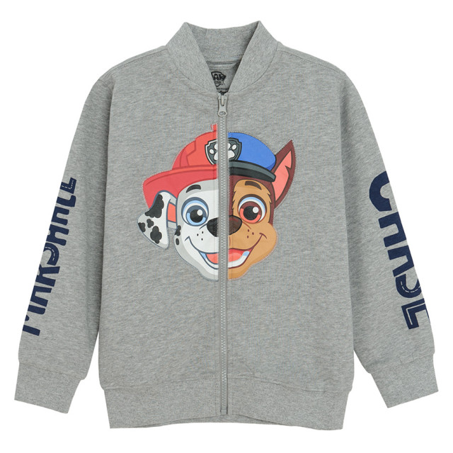 Блуза с дълъг ръкав PAW PATROL, цвят: Сив меланж