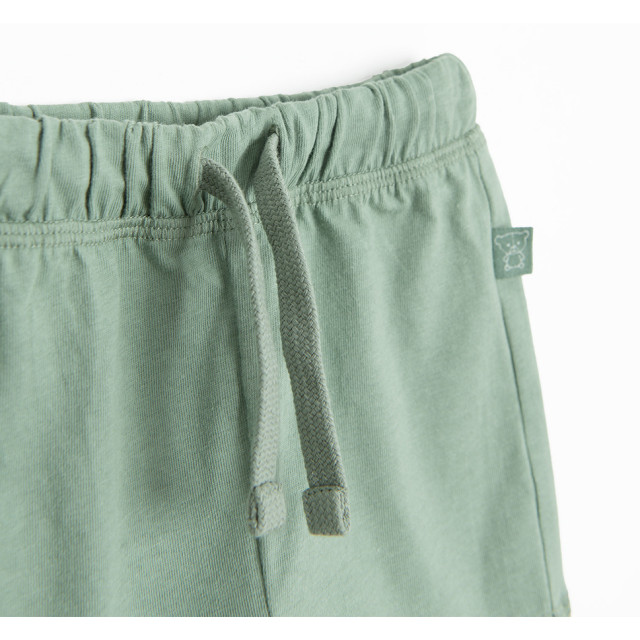 Шорти, цвят: Зелен