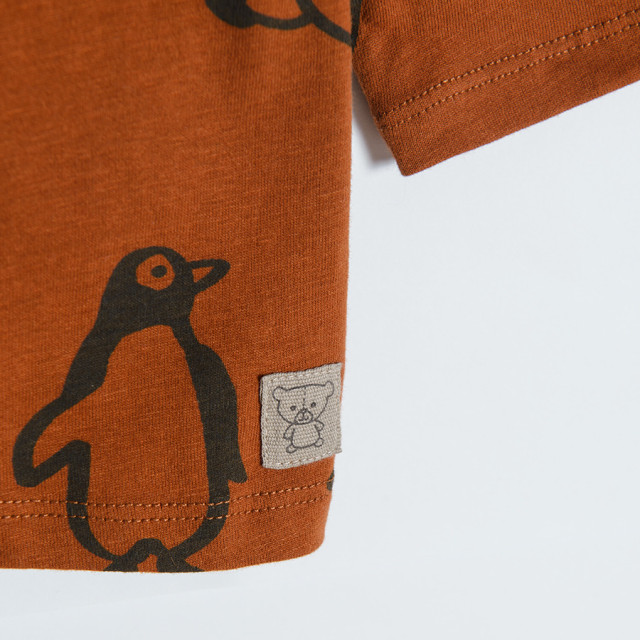 Тениска с дълъг ръкав, цвят: Кафяв