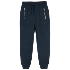 Спортен панталон, цвят: Син