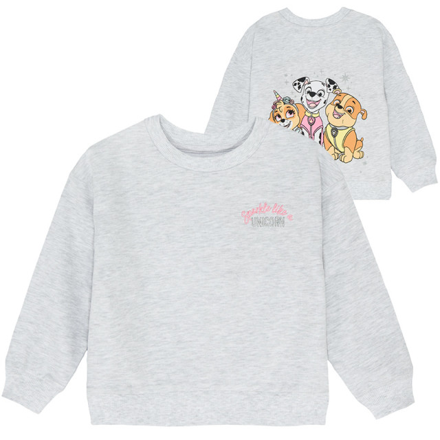 Блуза с дълъг ръкав PAW PATROL, цвят: Сив меланж