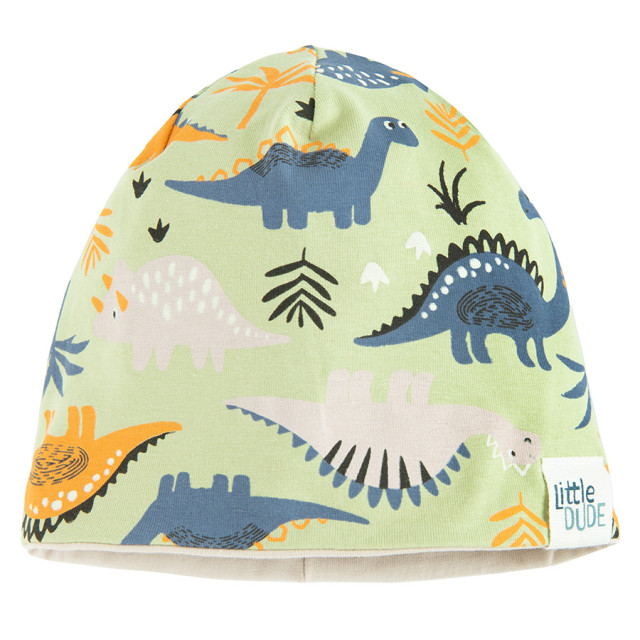 Шапка, цвят: Светло зелен