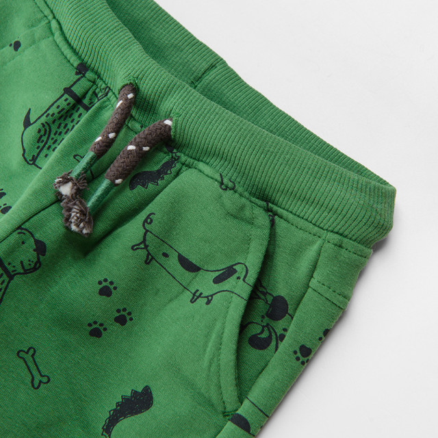 Спортен панталон, цвят: Зелен