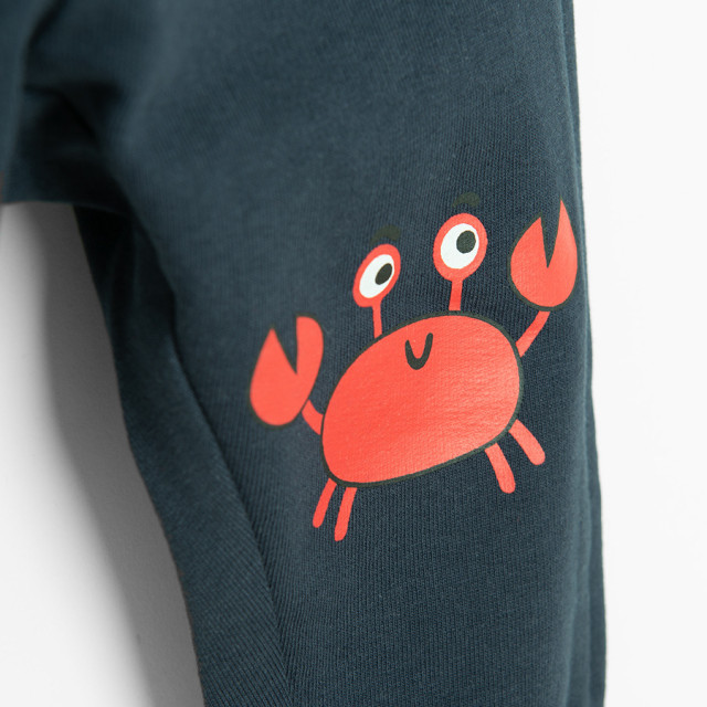 Спортен панталон, цвят: Морско син