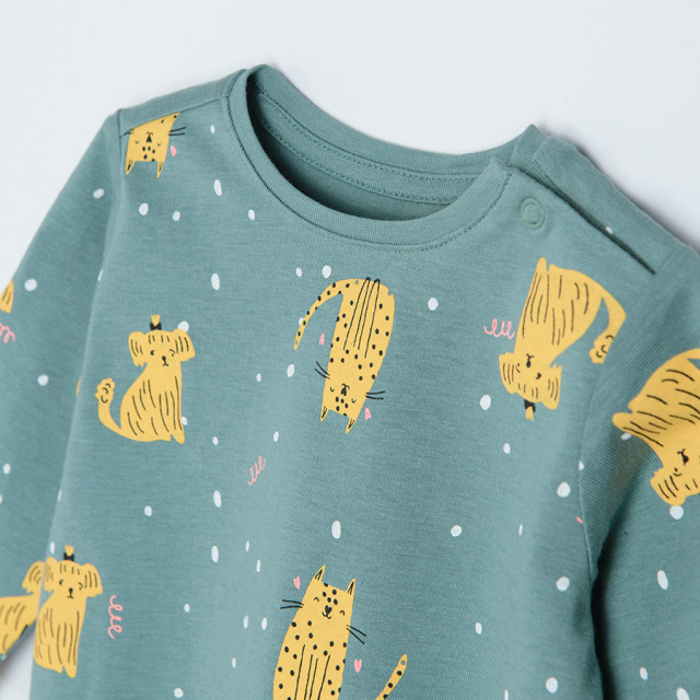 Тениска с дълъг ръкав, цвят: Зелен