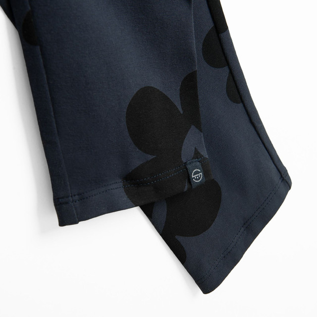 Клин, цвят: Син