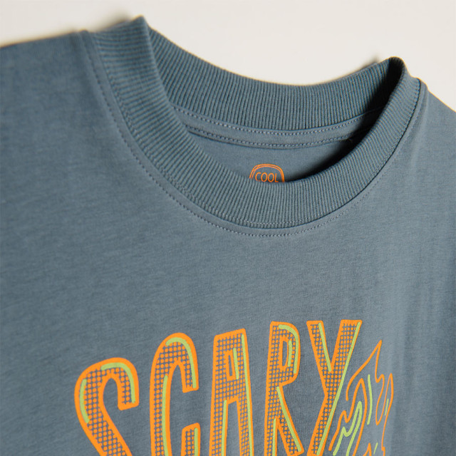 Тениска с къс ръкав, цвят: Сив