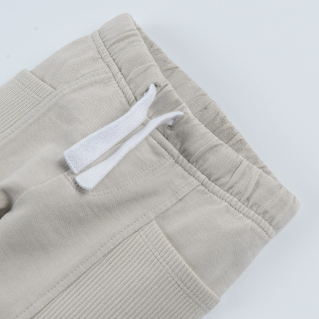 Спортен панталон, цвят: Сив