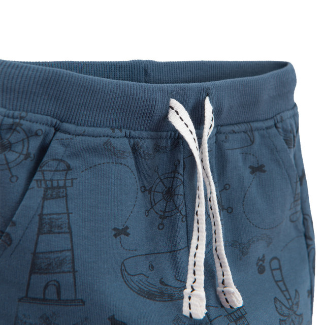 Спортен панталон, цвят: Син