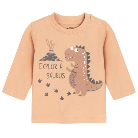 Тениска с дълъг ръкав, цвят: Оранжев