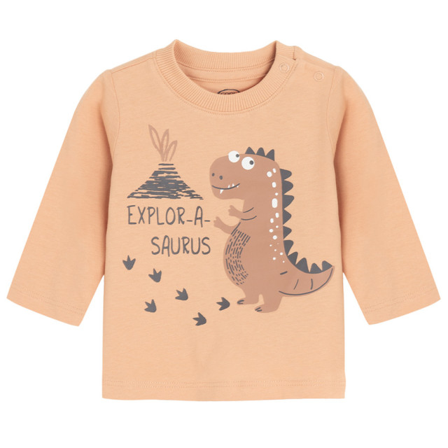 Тениска с дълъг ръкав, цвят: Оранжев