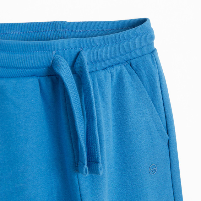 Спортен панталон, цвят: Син