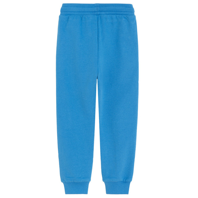 Спортен панталон, цвят: Син