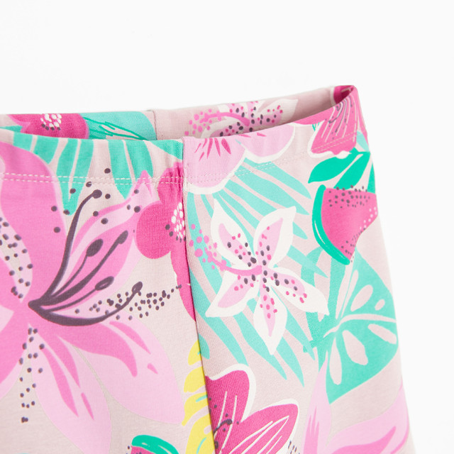 Клин, цвят: Микс