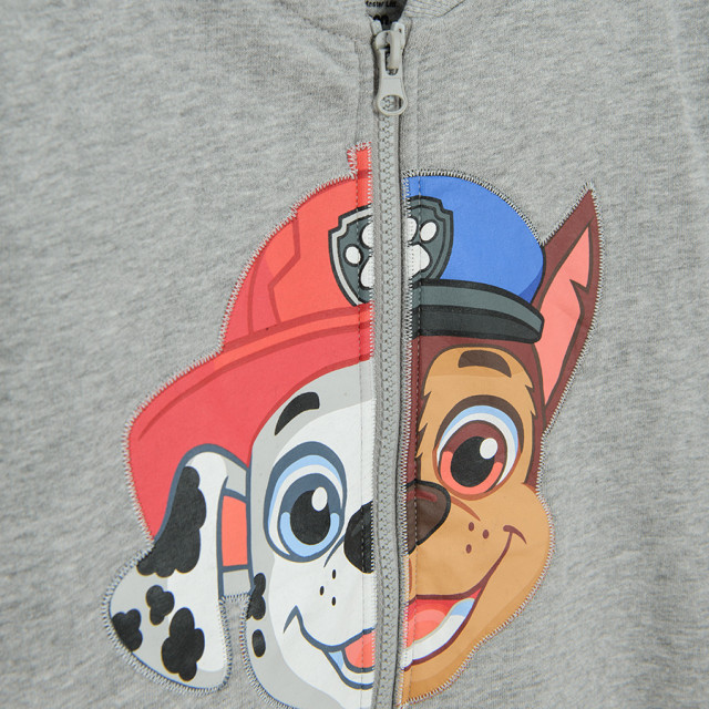 Блуза с дълъг ръкав PAW PATROL, цвят: Сив меланж