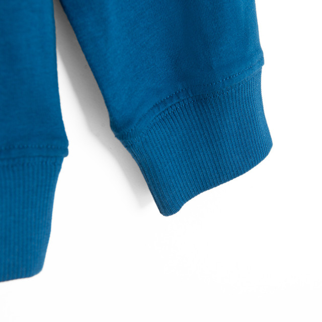 Блуза с дълъг ръкав, цвят: Син