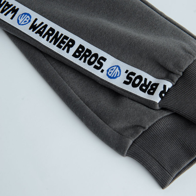 Спортен панталон WARNER BROS 100, цвят: Антрацит