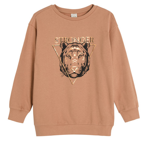 Блуза с дълъг ръкав, цвят: Кафяв