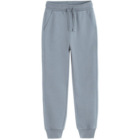 Спортен панталон, цвят: Сив