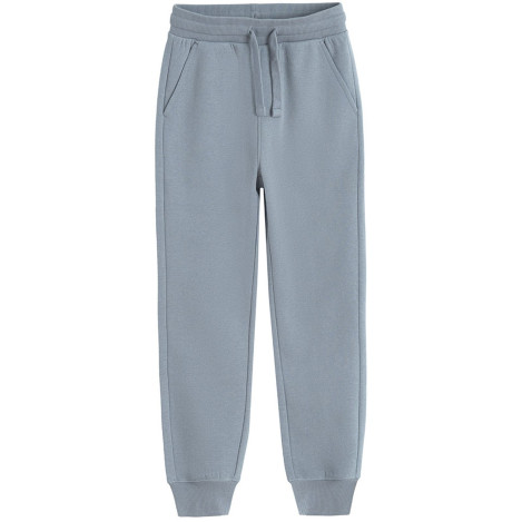 Спортен панталон, цвят: Сив